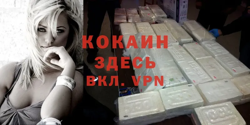 Cocaine VHQ  Каменногорск 